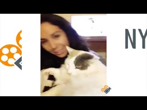 The Animal Follies 1
