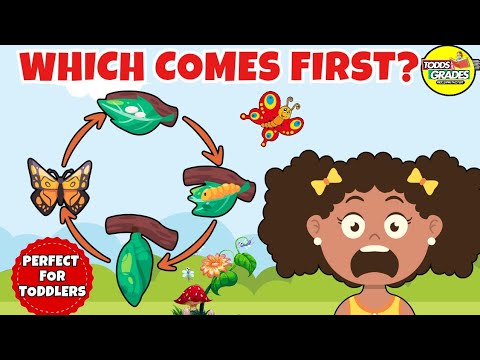 "What Comes First?  Butterfly Life Cycle Explained for Kids | Fun Science for Kids 