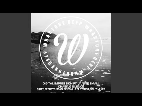 Chasing Silence (Dirty Secretz Remix)