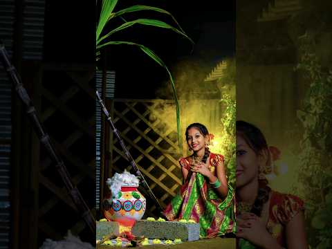 பொங்கலோ பொங்கல் | Pongal Photoshoot 🌾 #shorts #photoshoot #pongal