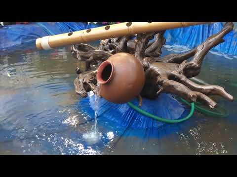 veer jijamata udyan Byculla 01 02 19 flower exhibition