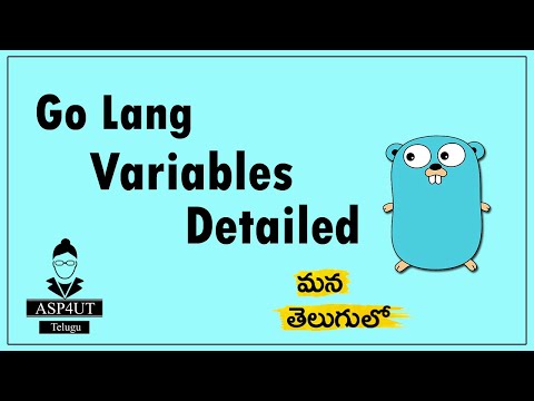 GoLang Variables Detailed Telugu