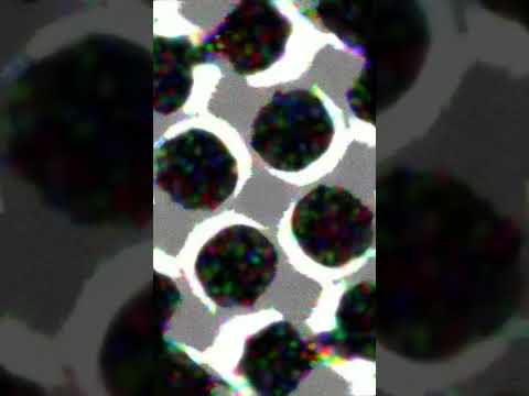 The Grid # Visual made with python. Song made with reaper. #shorts