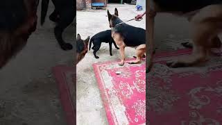 The best coffee is the coffee you personally like 20