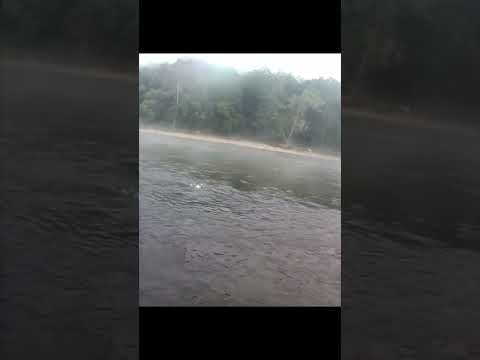 Susquehanna catfishing, bobber down!