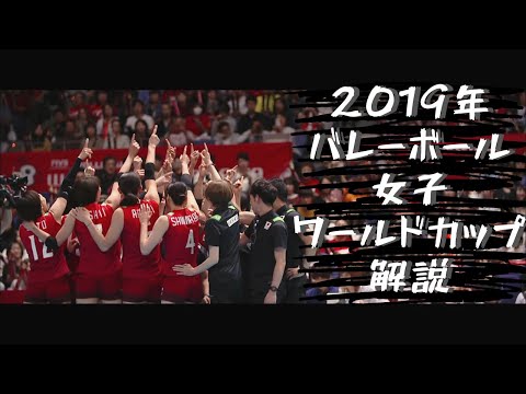 バレーボールワールドカップ　全日本女子　解説　2019年