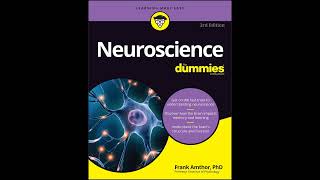 Intelligence, Emotion, and Consciousness Explained | Chapter 12 – Neuroscience For Dummies
