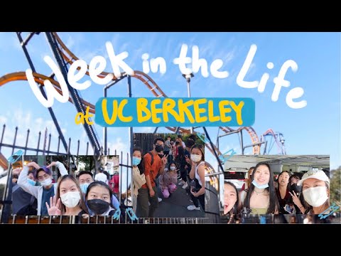 week in the life at UC BERKELEY || vlog 007