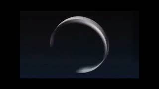 Google search page trick. coin toss.