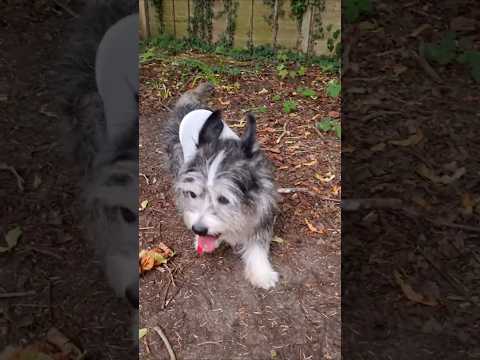 The Truth About Bella's Cancer Journey