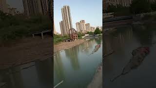 FPV Pilot Rituals: Is This How You Fly? 🚁✨