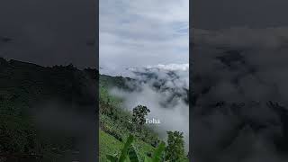 I think they are the most beautiful places in Bangladesh🇧🇩🇧🇩