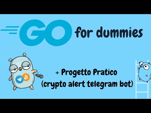 GOLANG per PRINCIPIANTI - CORSO INTRODUTTIVO + PROGETTO PRATICO