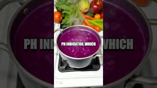 Color-Changing Cabbage Chemistry