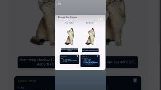 Box-Shadow vs Drop-Shadow in CSS | What's the Difference? #CSS #BoxShadow #DropShadow #webdesign