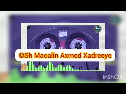 Cilaaj : Sh Macalin Axmed Xadreeye