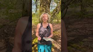The difference between a Quick Bearing vs Full Bearing #mapandcompass #navigationtips  #navskills