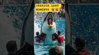 Last Moments Jessica Radcliffe 😭 #jessica #radcliffe #shorts #dolphins #orca