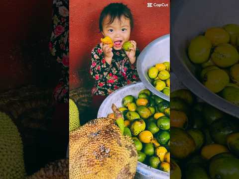 #local #mangofruit #🥭#jackfruit #fruit #shorts #villagelife #rishing#viral #😊🥹