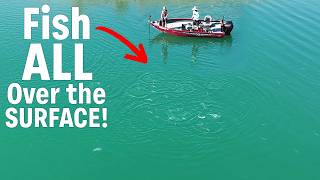 This Should Be Way More Popular | Lake Mead Boil Fishing (Complete Guide)