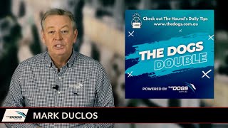 The Dogs Double - Tue April 4