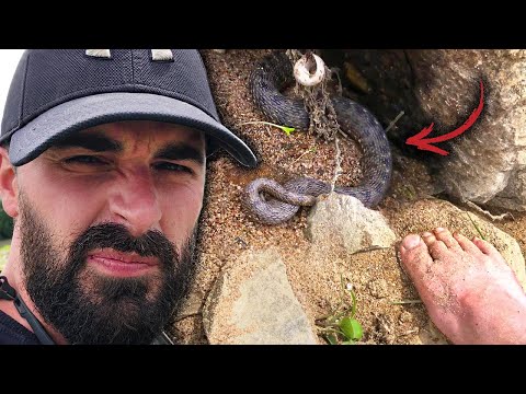 UN BROCHET CASSE MON HAMEÇON 😱