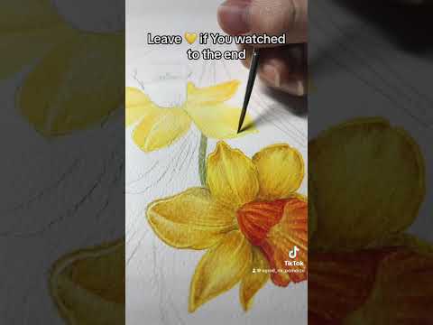 Daffodil #watercolorpainting #akvarel #art #drawing #aestheticart #painting #akwarele #watercoloring