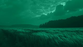 ＰＥＡＣＥ　ＦＯＲ　ＨＥＡＶＹ　ＮＩＧＨＴＳ ..