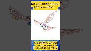 Show machine knowledge every day