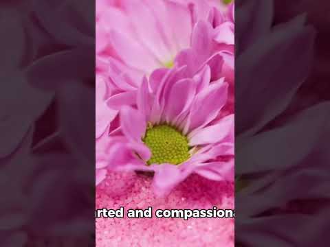 What Colour has the best personality?