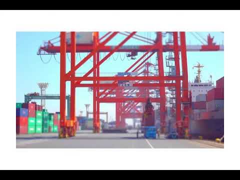 Container Handling Daily Logistics