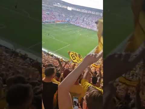 BVB Fans singen: Borussia Dortmund wird Meister und Schalke steigt ab #bvb #borussiadortmund #shots