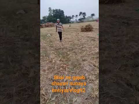 खेतों वाली शायरी|#shortsvideo #viral #shayari