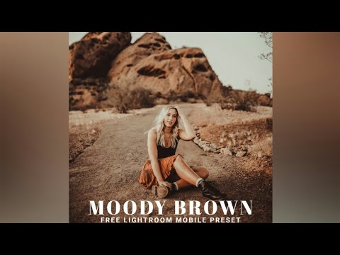 Moody Brown Free Lightroom Mobile Preset #Shorts