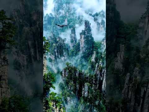 Nature lovers//status// viral #trending #mps motivation#jorney