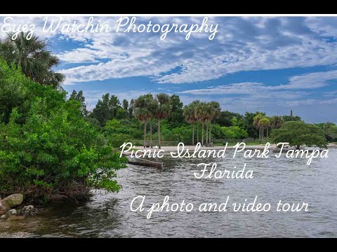 Picnic Island Park is a beautiful, family-friendly park located in Tampa Bay, Florida.