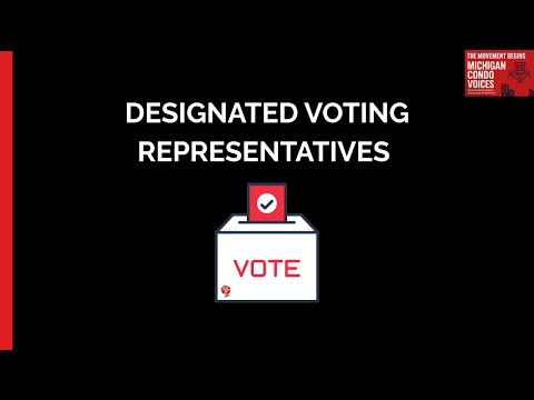 Designated Voting Representatives (DVRs)
