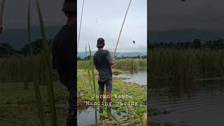 Joran bambu mancing jaring #shorts