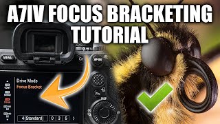 Sony A7IV Focus Bracketing Tutorial: Sharp Macro Shots Made Easy