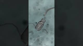 Nanotechnology in Healthcare: Repairing the Body at the Cellular Level.  #ai  #healthcare