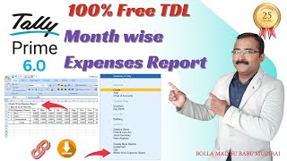 Want Financial Clarity? Try This FREE TDL for Tally Prime Now