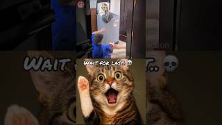 bro's heart 😲 #technologia #cat #meme #funny