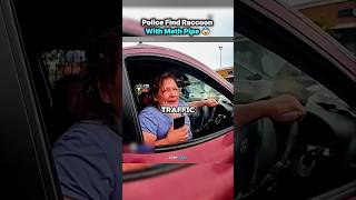 Wildest Traffic Stop Ever Recorded 😂