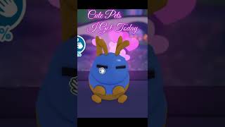 Couple cute pets I got today! #adoptme #adoptmepets