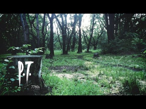 P.T.