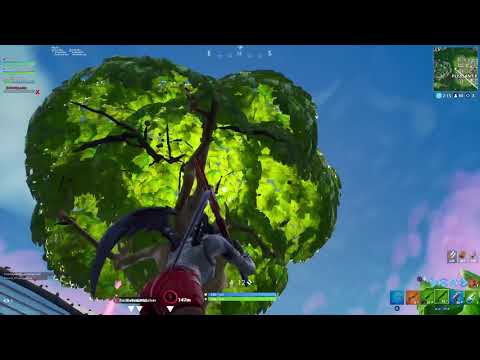 Just a lil fortnite clip :)