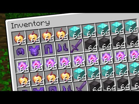 I am the richest player in Minecraft…