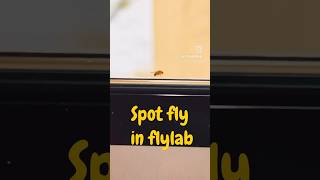 #djiosmopocket3 #weekinmylife #minivlogs