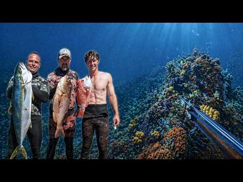 Spearfishing Deep Coral Reefs in South Africa (Catch and Cook)