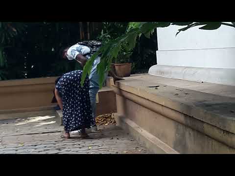 Humanity of Adorable Lady